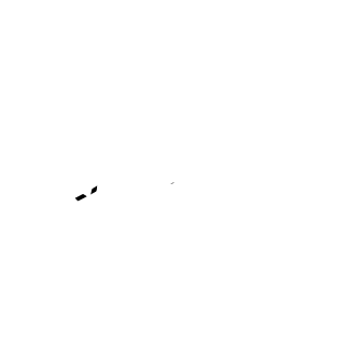 Online Festival